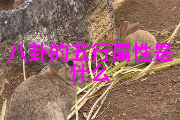 小学生最爱唱的三首热曲校园乐坛的金曲风云
