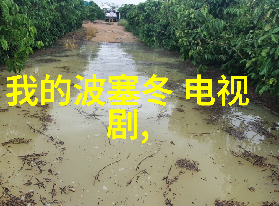 中赫时尚钟丽缇52岁仍风姿绰约香港街头逛街身材反复变形大象腿令人瞩目