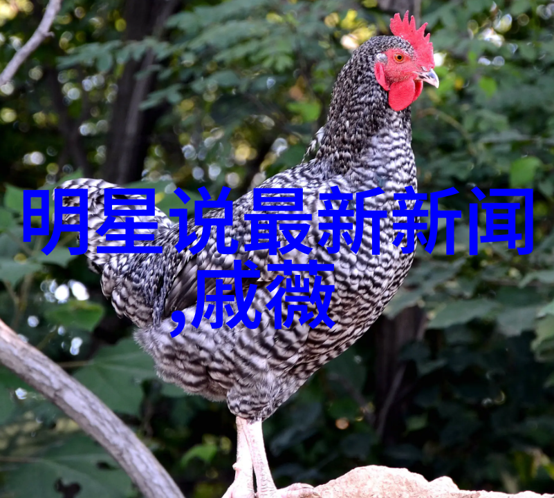 我的青春遇见你 电视剧-岁月里相逢的未央花