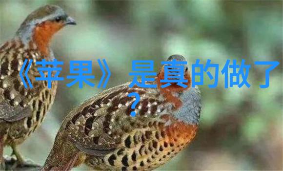 命名游戏揭秘你的名字背后的八字秘密