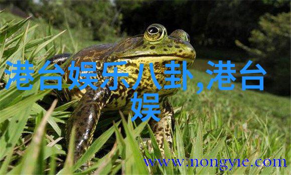 心理游戏里的平局解析三分天下的心理战术