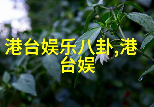 富春山居图主创宣传 林志玲崇拜刘德华娇笑讨好