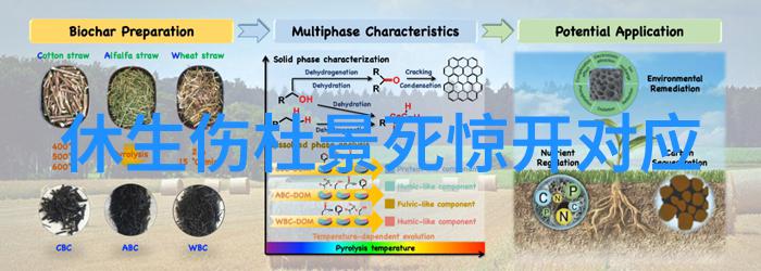 废妃改嫁新篇章宫廷爱情重燃