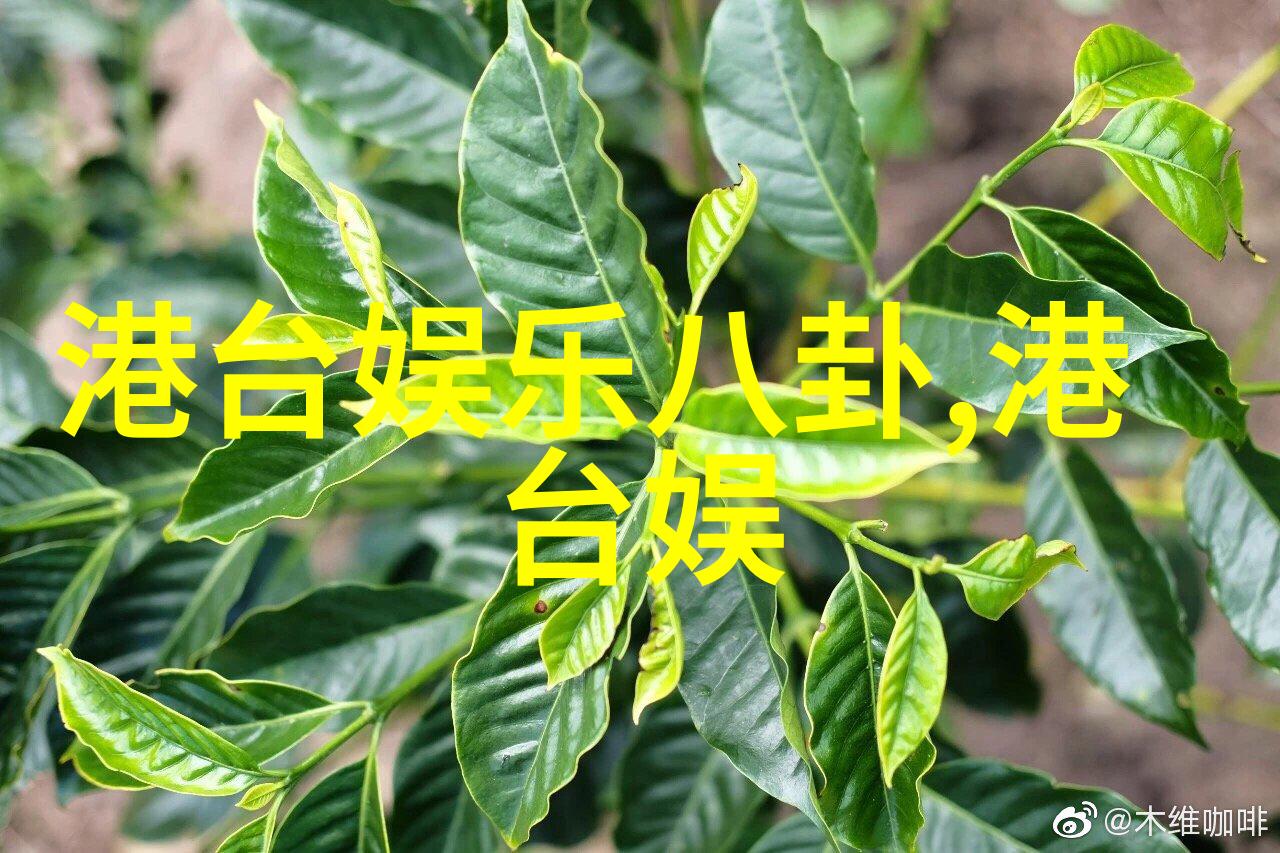 雪梨澳洲之冠的绿水蓝天与悠扬乐章