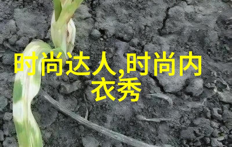 揭秘八卦五行属性通晓天地之运转