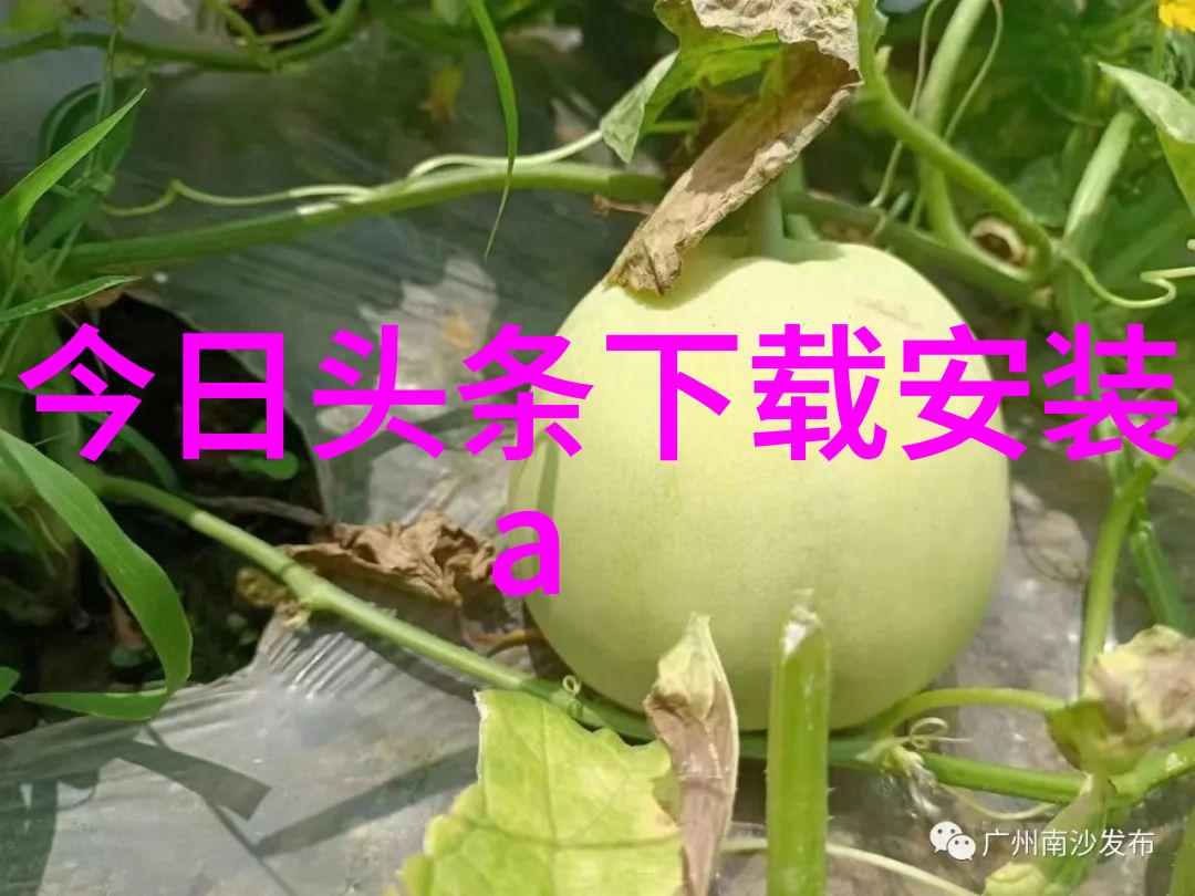 简笔画艺术全集探索赵无极范晓萍等名家作品的魅力