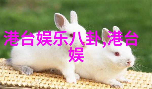 小野丽莎携天涯明月刀风采30周年圣诞庆典上在北京的自然风光中演绎精彩
