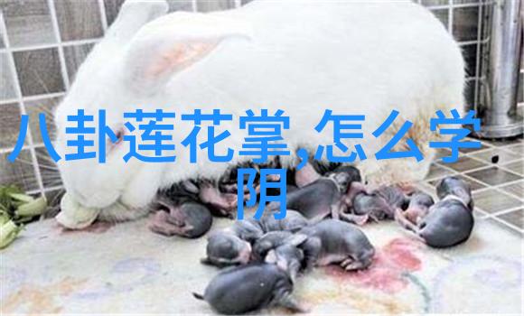 镜头下的实录拍写真的视觉叙事与文化解读