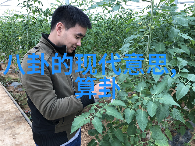 超拽的句子编织语言的艺术奇迹