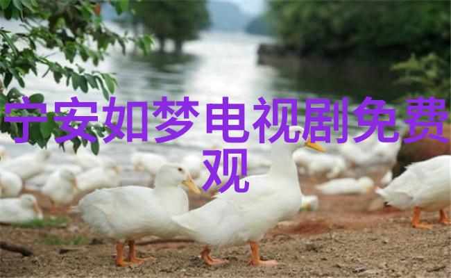 逆袭在电视剧橄榄树中探究从逆境到正能量