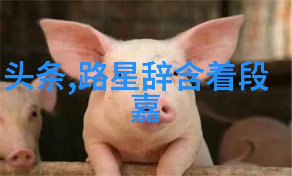 流年似水明星成长记过气女星带孩子参加综艺节目