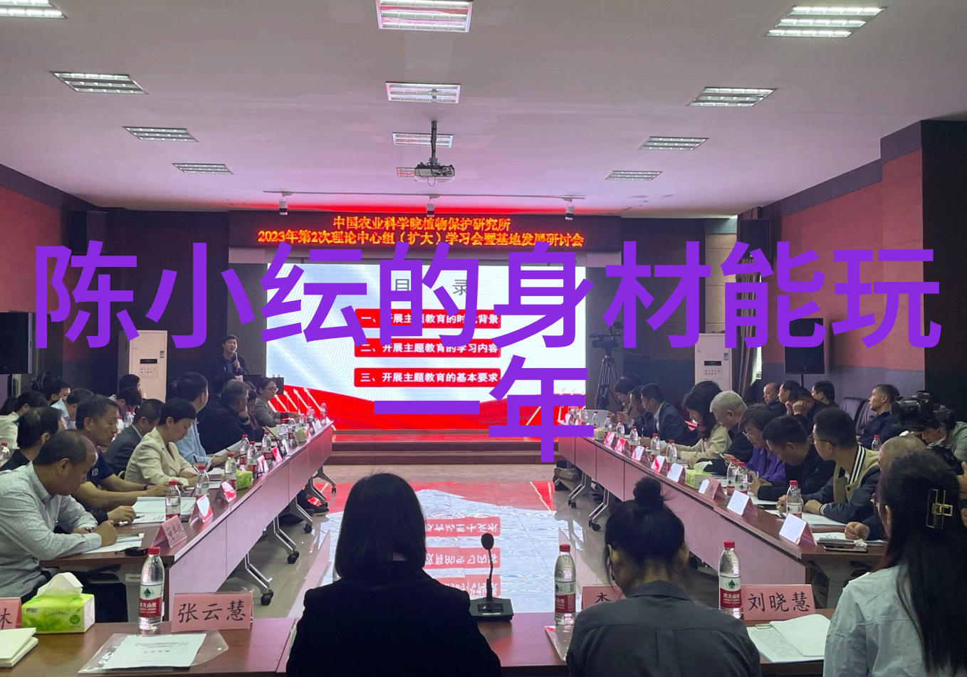 探索音乐界的巅峰之作100首让心灵震撼的纯粹旋律
