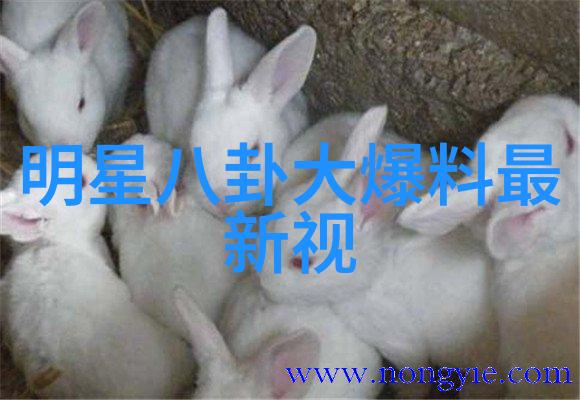 台湾佬中文娱乐网探索风尚与娱乐的新天地