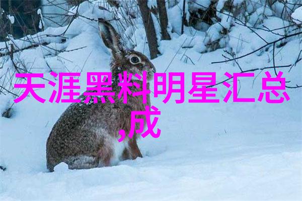 宇宙之图解读乾坤八卦的奥秘与智慧