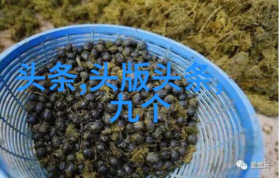 中国影视作品全集从经典到现代的华语电影电视剧收藏