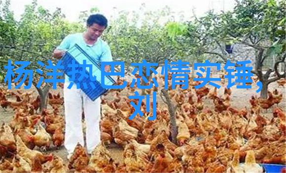 八卦镜下的沈南知名主持人近况引争议疑因害怕隔离而囤积物资