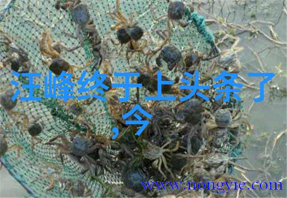 掌握六十四卦背诵口诀读音提升生活质量的技巧