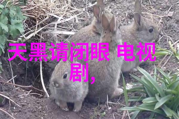 跨界合作大趋势探索不同领域艺术家参与热门综艺的奥秘