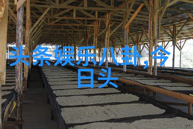 百度智能识别图片革新视觉技术的新纪元