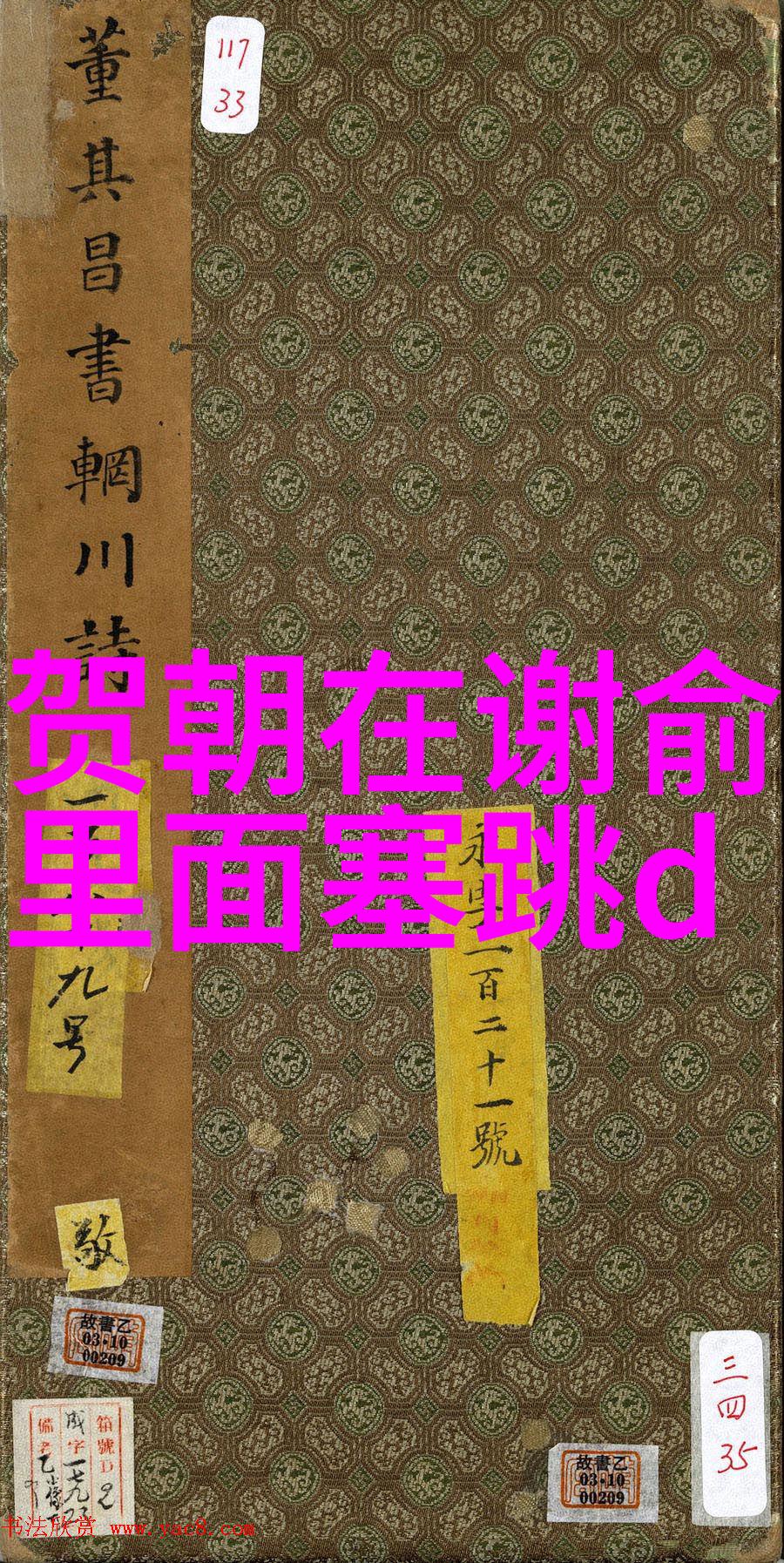 全网排名前十的主播是否都拥有专业背景或教育成就