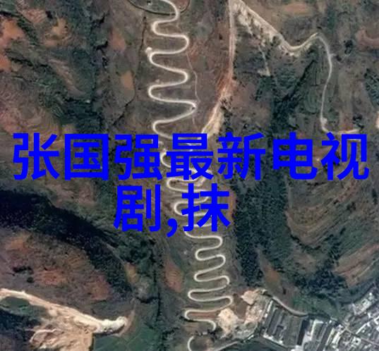 熊出没之伴我熊芯电影免费观看与解放了联袂发布会网友笑称钟汉良皮手套大户