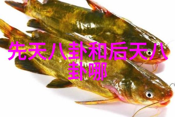 异想天开的生活中心艺享天开的SPACE3 - 免费测婚姻最准探索情感未来在这里