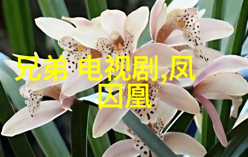 百度智能识别图片我眼中的世界从照片到故事的奇妙旅程