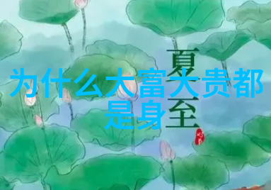 酷我音乐下载高品质音乐资源获取