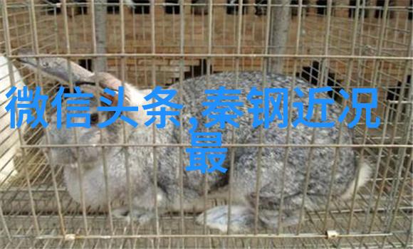 分手后我在娱乐圈爆红了原来凤凰网的艺术时尚跨界融合新路径也能让我走红名流大咖齐聚凤凰雅宴我却在这里搞