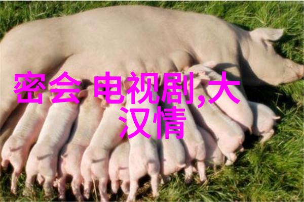 网红与明星的界限流量与艺术的双重身份