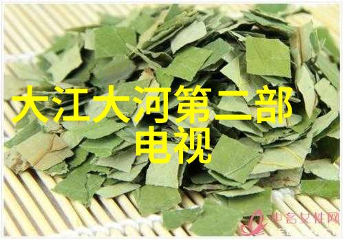 熊出没之伴我熊芯电影免费观看咱们一起追逐那些走在前面的小熊