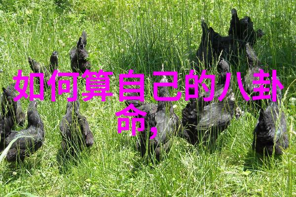 算八字最准免费网站大全