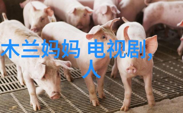 江添的冷酷与盛望的泪水背后的故事与真相