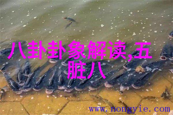 影视工场幕后英雄的匆匆岁月