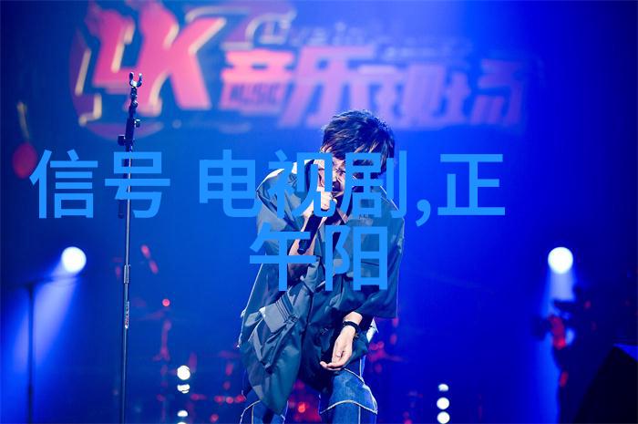 疯狂追星与隐私权争议网友对雪梨黑历史的看法