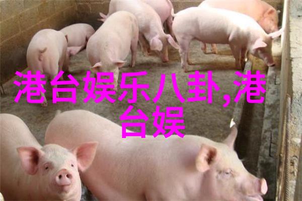 幕后低语影视界的灰色边缘