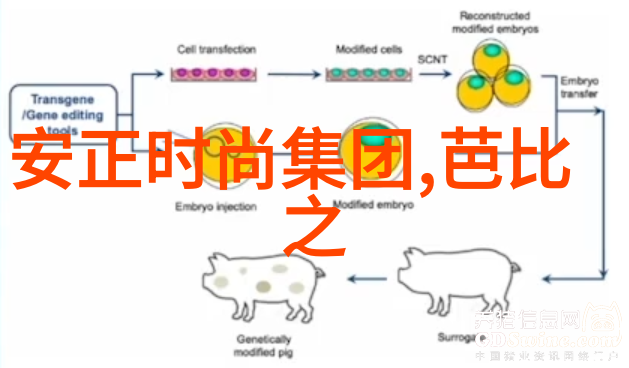 今日娱乐头条蜘蛛侠内地上映英雄远征欧洲暑期档神仙大战来袭