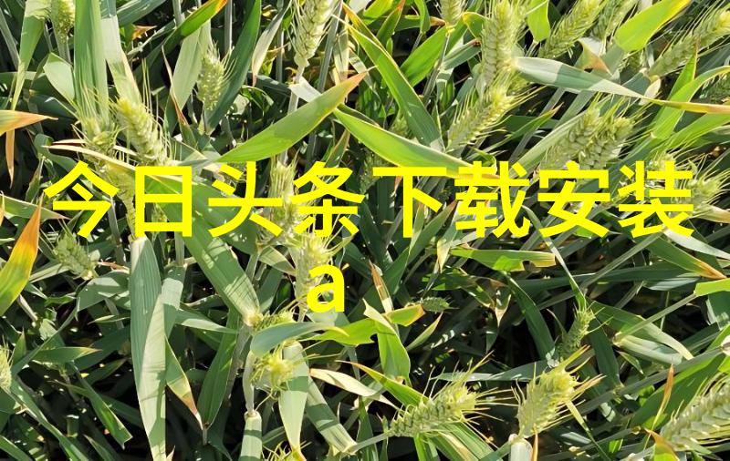 写真摄影 - 画面编织捕捉生活的瞬间与美学探索