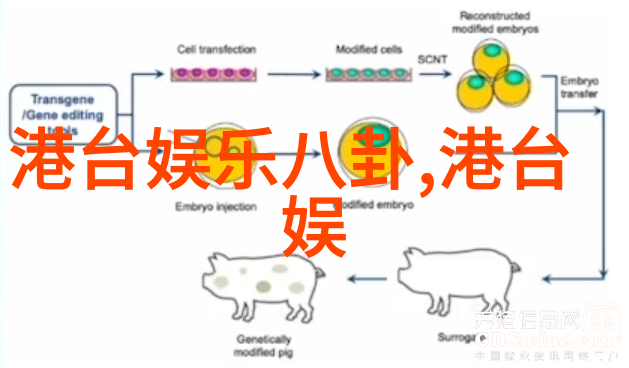 水浸家庭-你弄得人家里都是水一场意外的洪灾