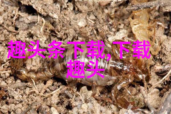 蓝盈莹化身人间美人鱼于百度智能识别的光影中散发时尚魅力