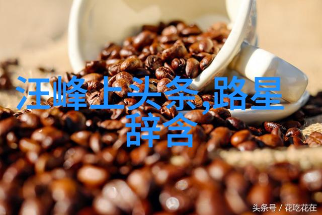 音乐之翼无缝享受免费听歌的艺术