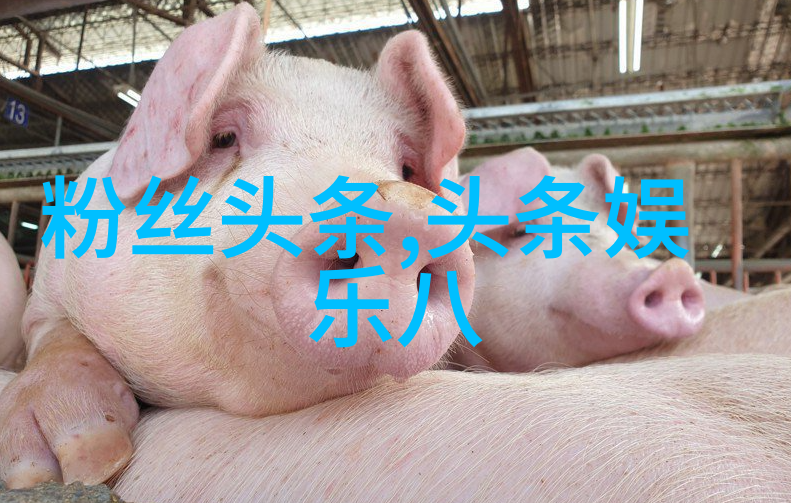 冯绍峰做亲子鉴定是真的吗我是怎么知道的冯绍峰亲子风波的真相