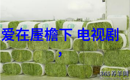 秘密影院偷藏不住的电视剧全集免费观看指南