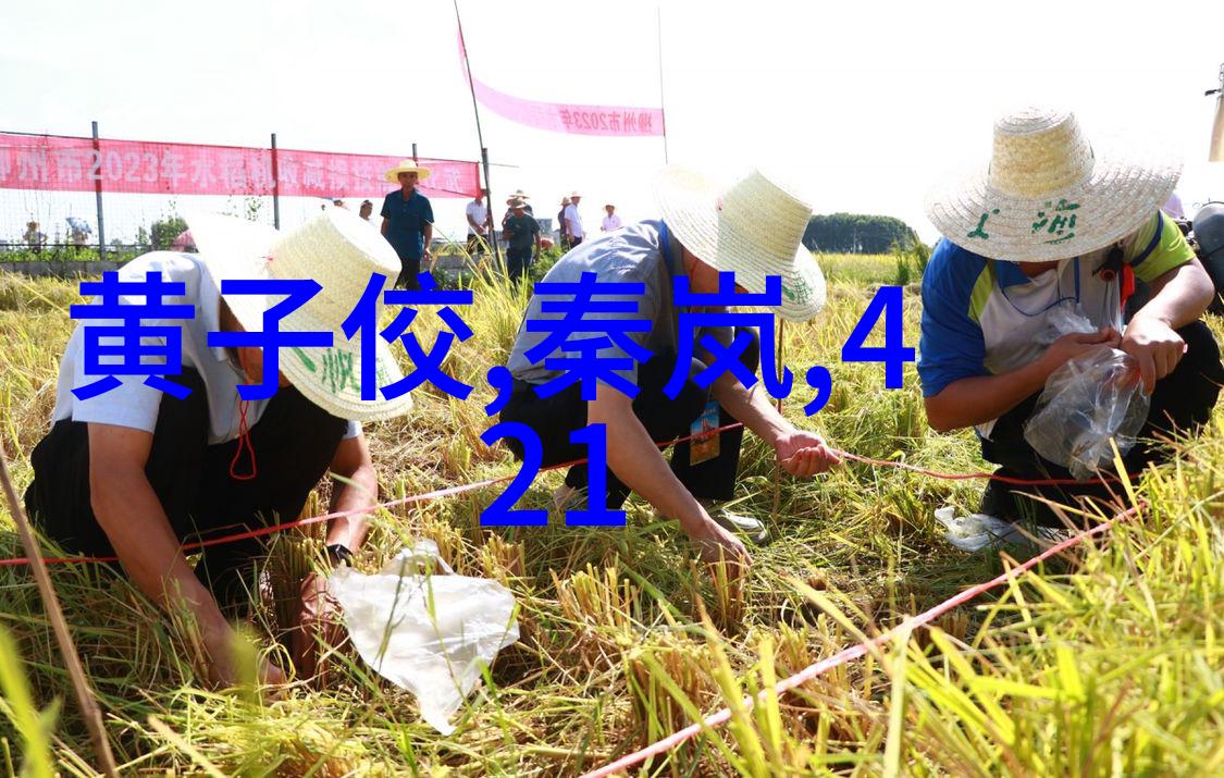 神秘禁令背后的故事为什么有人无法享有八卦镜的力量