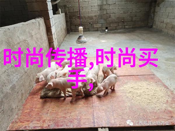 今日头条极速版是否支持夜间模式减少眼疲劳