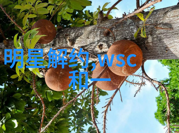 白鹿电视剧解读文化符号与现代价值观的视角