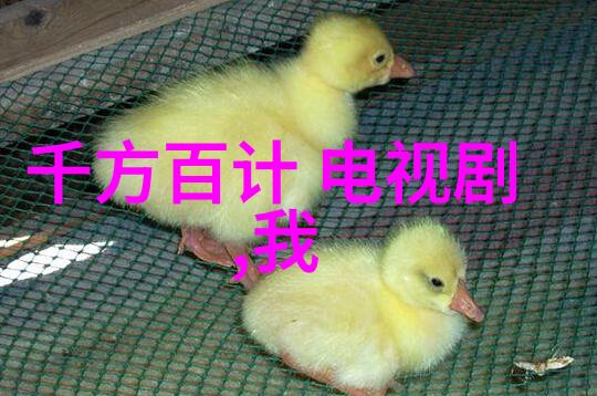 娱乐圈热点明星新欢曝光影视盛宴票房战