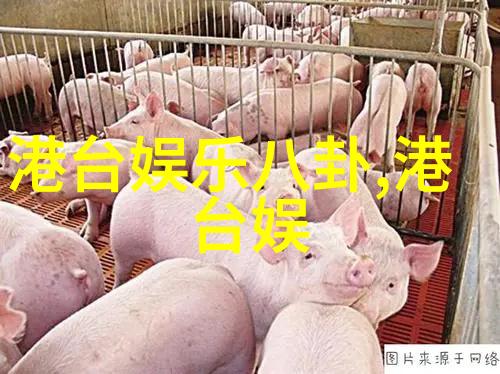 雪梨全球知名的澳大利亚城市美丽海滩和现代建筑的完美结合地