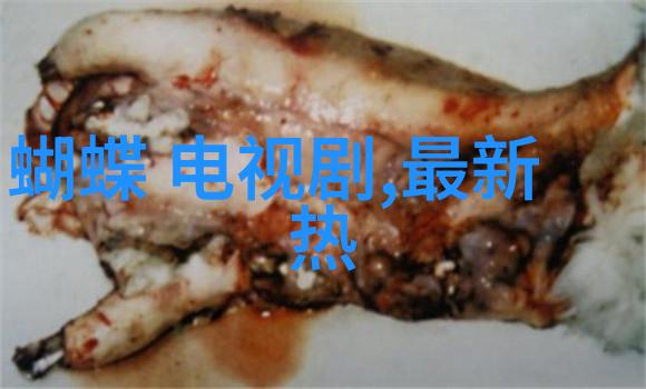 写真集我的生活故事从未曾展现的角落