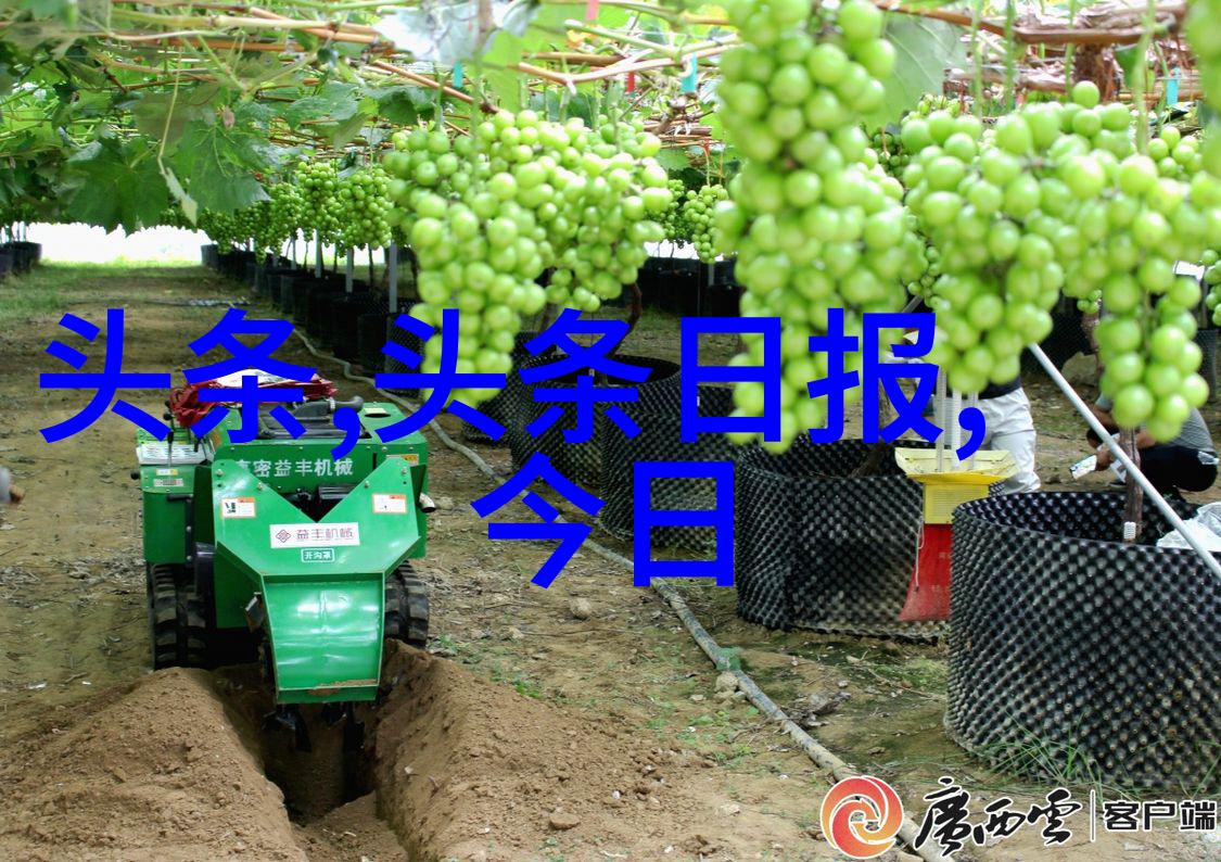 无缝连接扫描识别重现画面探索智能图像追踪技术的奇迹